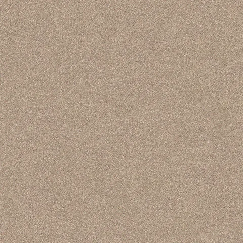 Warm Beige carpet swatch